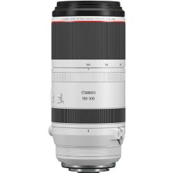 Canon RF 100-500mm f/4.5-7.1L IS USM Lens