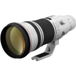 Canon EF 500mm f/4L IS II USM Lens