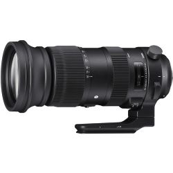 Sigma 60-600mm f/4.5-6.3 DG OS HSM Sports Lens for Nikon F